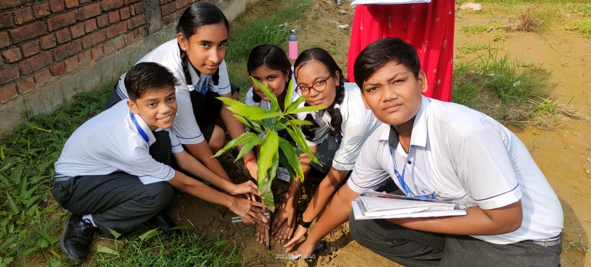 Plantation for a Sustainable Future